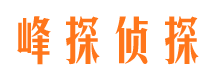 盐池婚外情调查取证